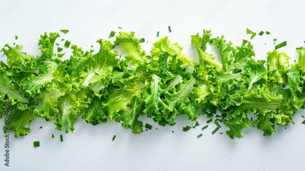 Endive Salad in Green color on White Background Endive Salad in Green color on White Background
