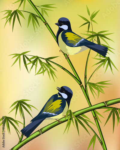 Birds on bamboo branches.Vector illustration with birds and bamboo on a colored background. © Инна Федорова