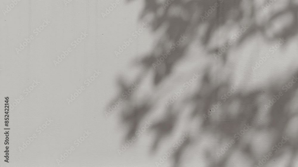 Shadow of tree branch natural sunlight on grey concrete wall background texture motion video