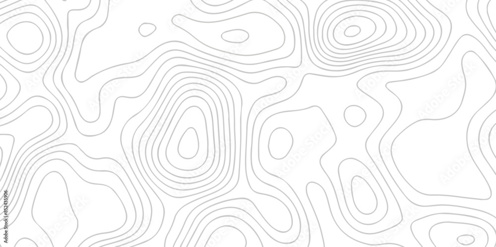 White wave paper curved reliefs abstract background. The topographic map contour in lines isolated. Abstract white topographic map background with lines. Background of the topography map. White wave paper curved reliefs abstract background. The topographic map contour in lines isolated. Abstract white topographic map background with lines. Background of the topography map.