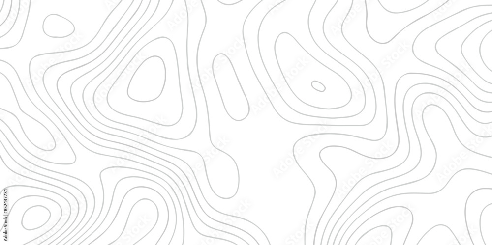 White wave paper curved reliefs abstract background. The topographic map contour in lines isolated. Abstract white topographic map background with lines. Background of the topography map. White wave paper curved reliefs abstract background. The topographic map contour in lines isolated. Abstract white topographic map background with lines. Background of the topography map.