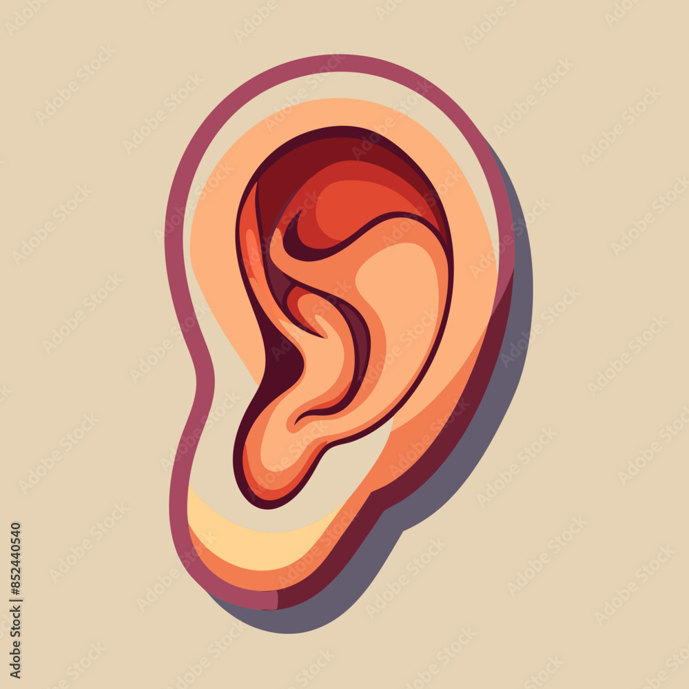 illustration of an ear illustration of an ear