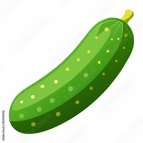 illustration of cucumber
