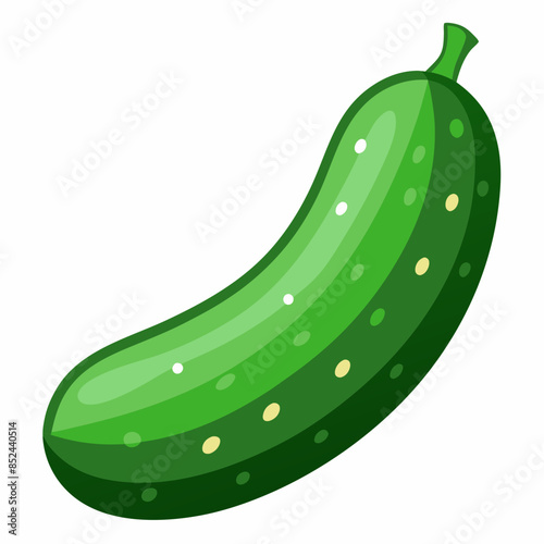 illustration of cucumber