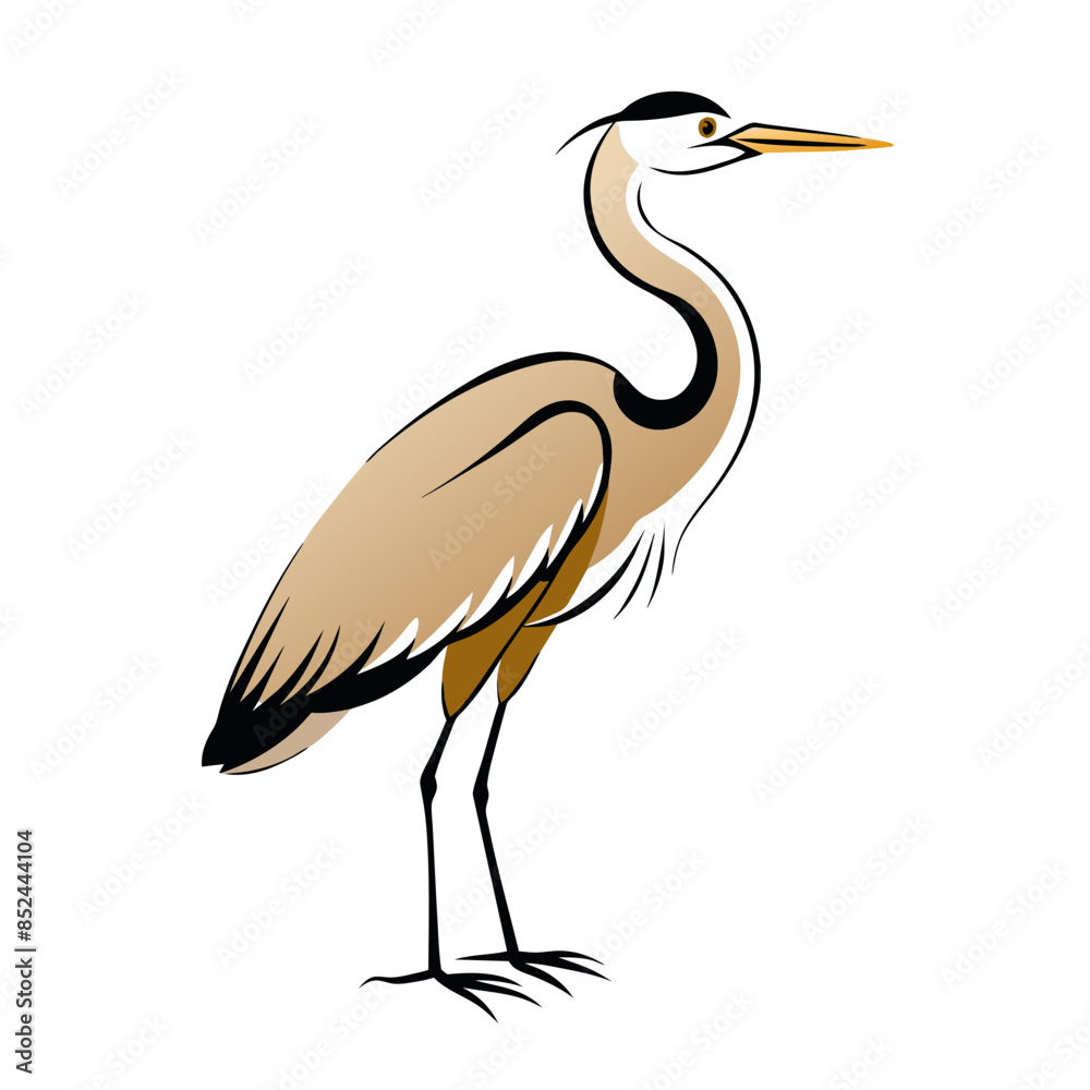 Fototapeta premium A graceful heron standing