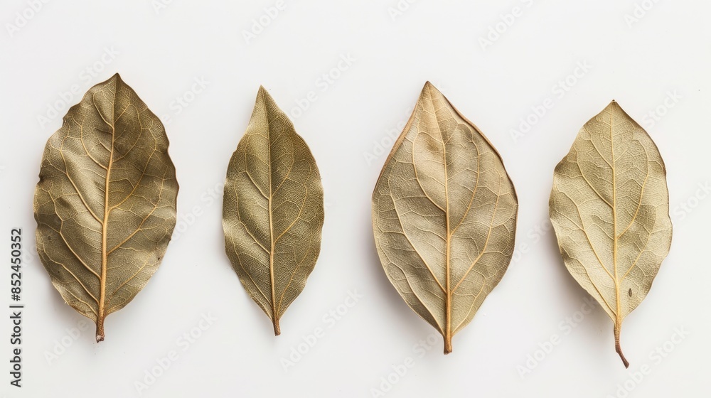 Bay leaf dried separated on a white backdrop Bay leaf dried separated on a white backdrop