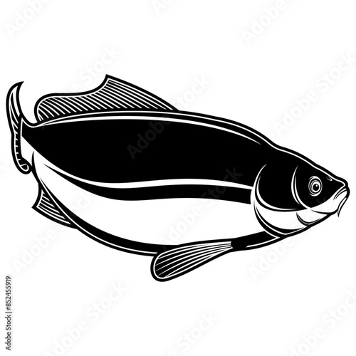 Carp