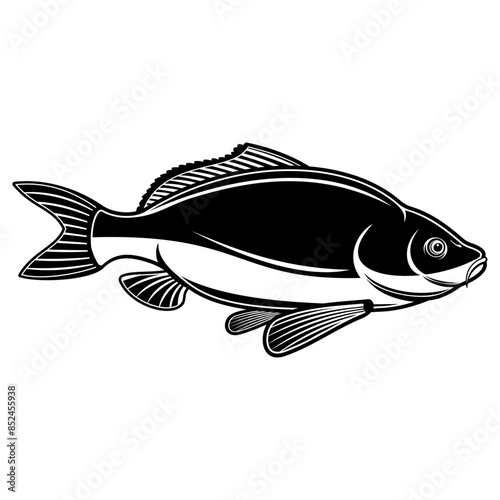 Carp