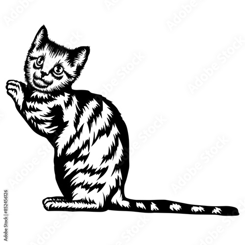 Cat Holding Hands Up