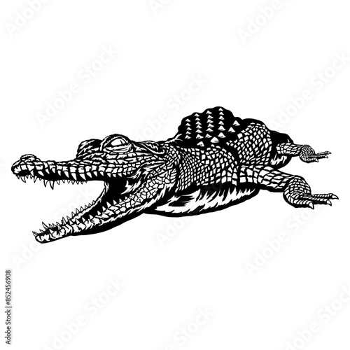 Crocodile