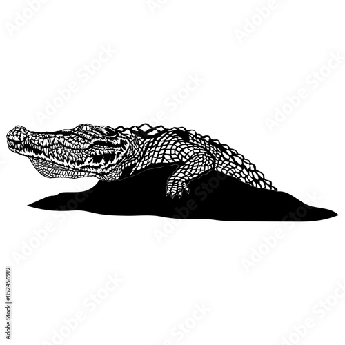 Crocodile