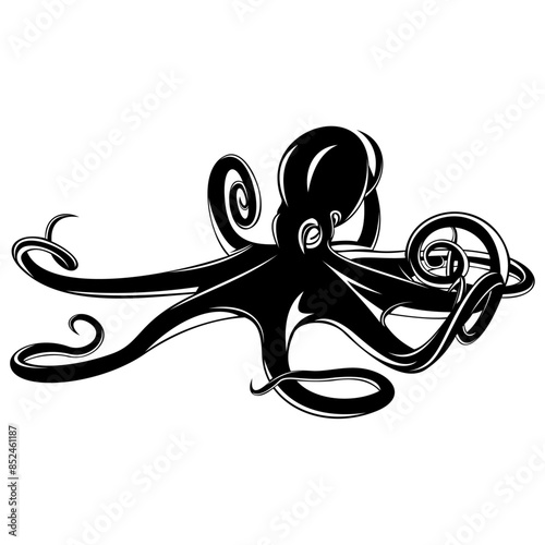 Octopus