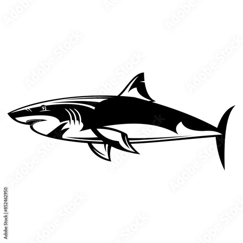 Shark