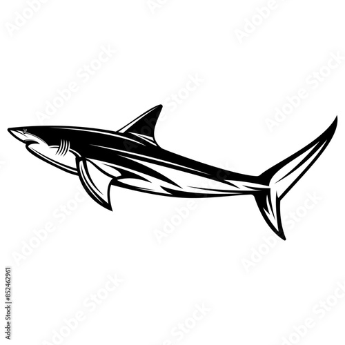 Shark