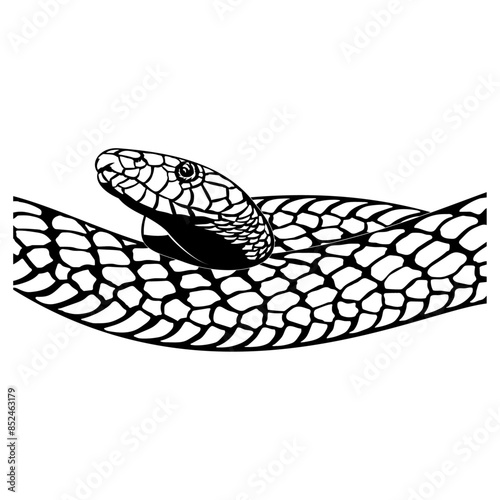 Snake
