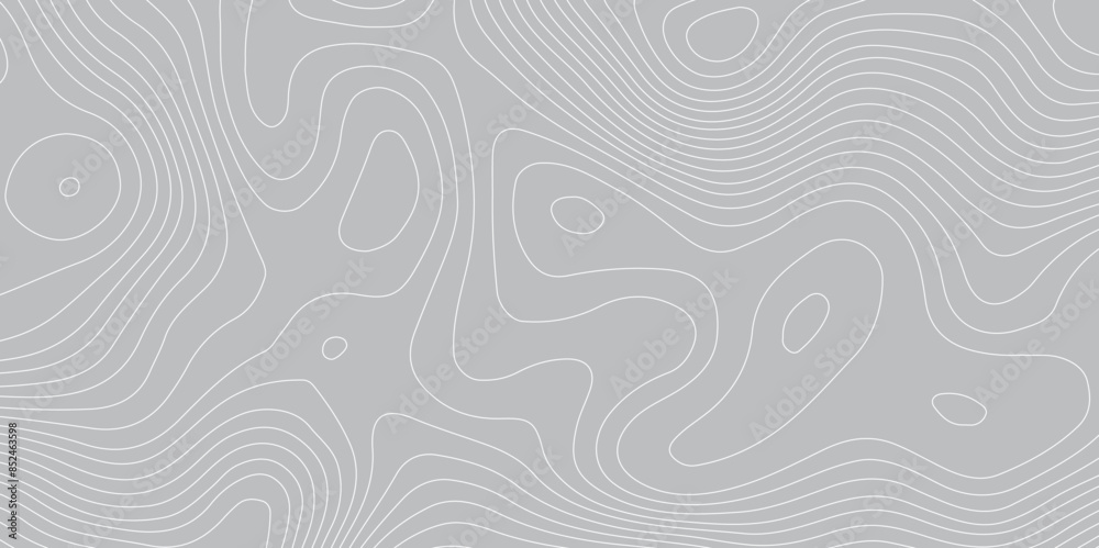 Abstract topography geography contour map and curve reliefs background .elevation contouring gray paper and white lines background .geographic mountain contour map grid vector background design . Abstract topography geography contour map and curve reliefs background .elevation contouring gray paper and white lines background .geographic mountain contour map grid vector background design .