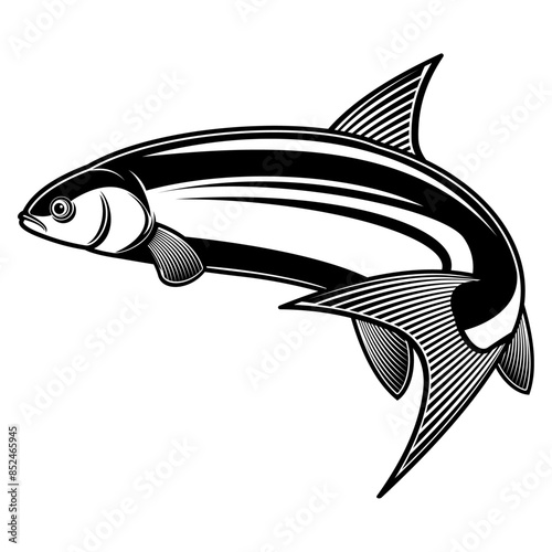 Whitefish