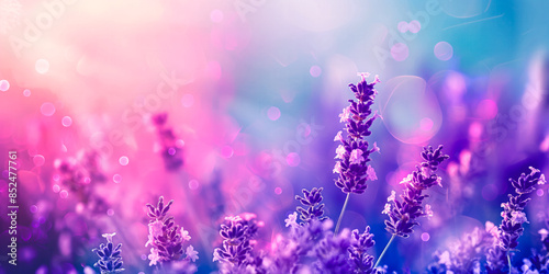 Purple Lavender flowers in a meadow, with their purple hues and calming presence, offer a vibrant background. Ideal for wellness designs, spa promotions, and nature themes. Text space © Photobes