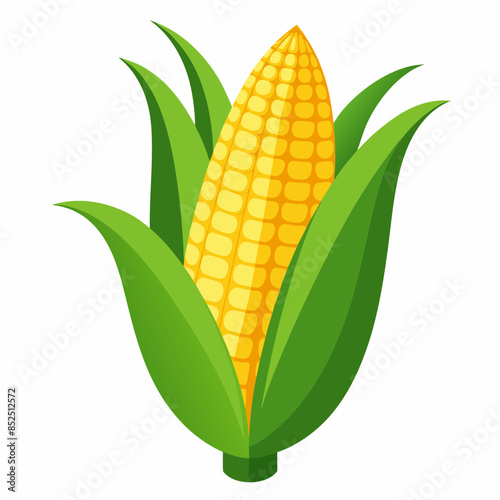 Corn vector illustration 
