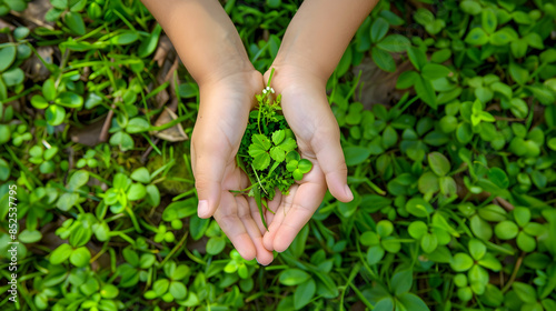 Photo of a Hand Holding Green Clover Leaves in a Green Grass Background