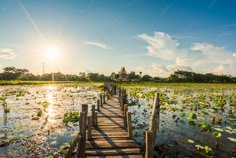 Wood bridge