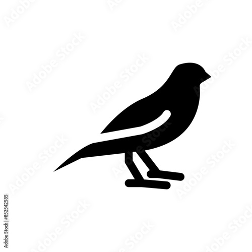 Canary Icon