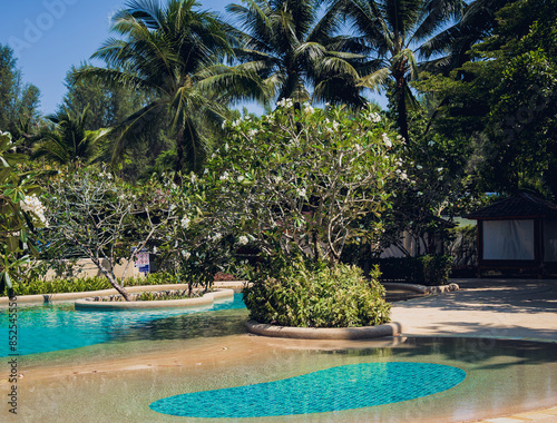 A beautiful scene with a big pool and tropical trees