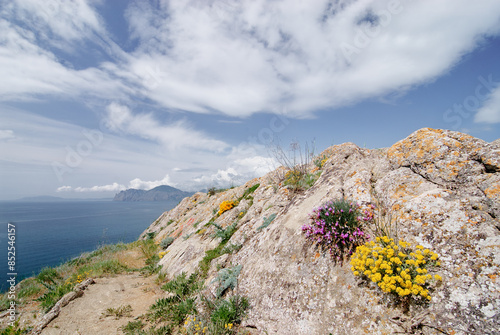 Sea spring landscape. Mountain yellow and purple flowers on the stone over the sea. photo