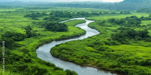 A picturesque view of a meandering river flowing through a verdant landscape, dotted with lush greenery and vibrant plants