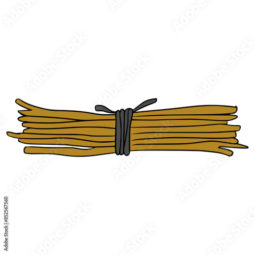 twigs bundle illustration hand drawn isolated vector	
