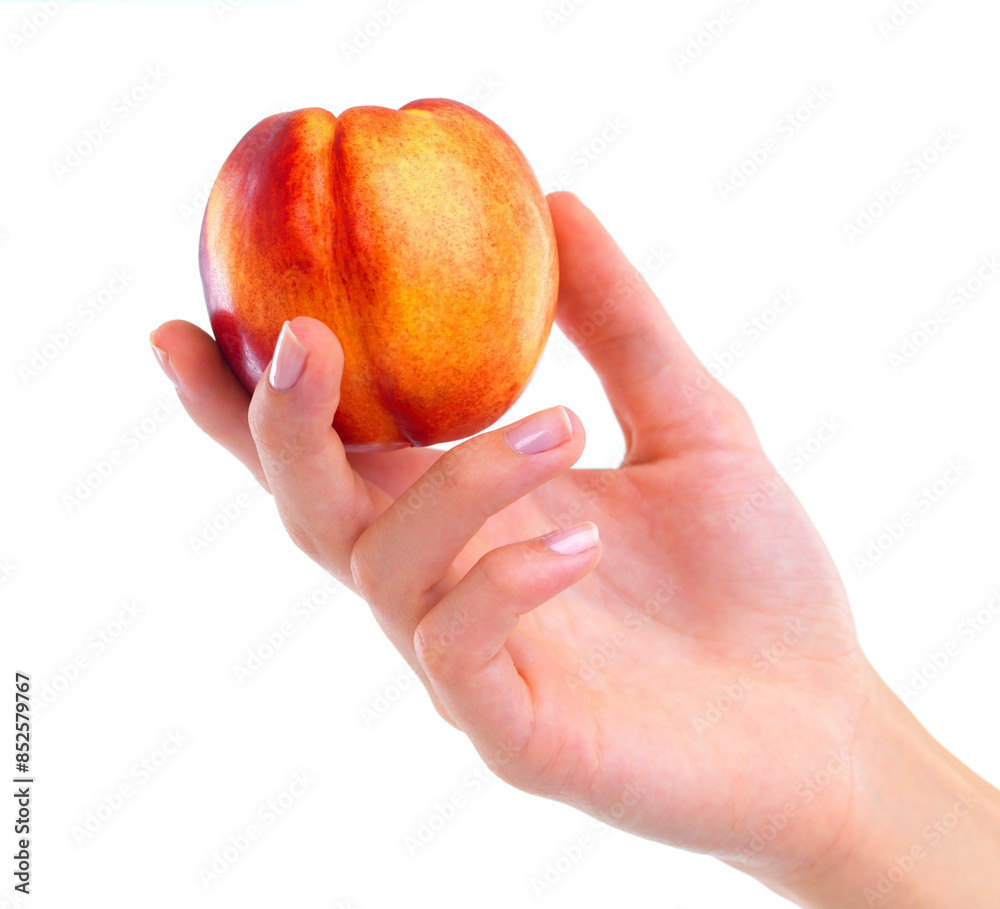 Hands, nectarine and healthy food for diet, wellness and weight loss with ingredient isolated on white background. Person with fruit, sweet or sour with nutrition, peach for clean eating and detox Hands, nectarine and healthy food for diet, wellness and weight loss with ingredient isolated on white background. Person with fruit, sweet or sour with nutrition, peach for clean eating and detox
