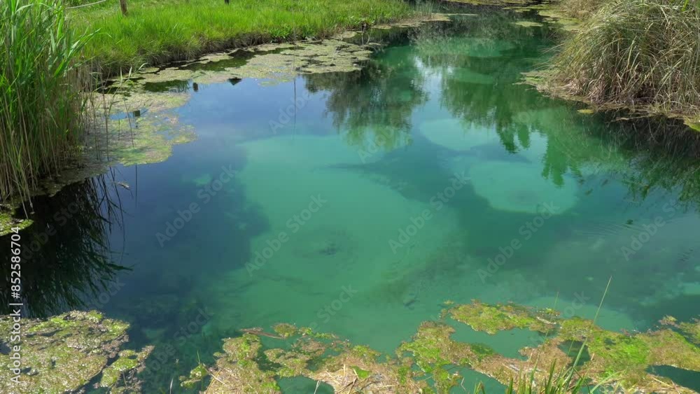 Groundwater in a lake in the wetland of the Ojos del Pontil natural park in Rueda de Jalon. Valdejalon. Zaragoza. Aragon Groundwater in a lake in the wetland of the Ojos del Pontil natural park in Rueda de Jalon. Valdejalon. Zaragoza. Aragon