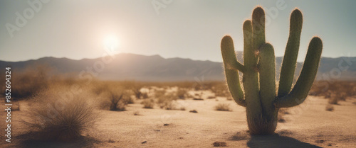 A desert landscape with a lone cactus under the blazing sun.
