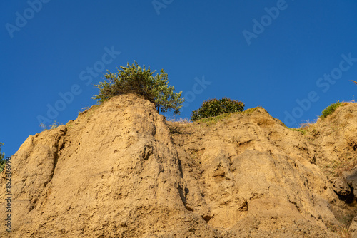 Palisades Park, Santa Monica, Los Angeles, California geology. Marine Terraces and Eroded Cliffs, alluvial fan deposits of consolidated silt, sand and gravel.

 photo