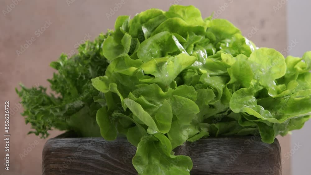 organic green vegetables in crate food rotation organic green vegetables in crate food rotation
