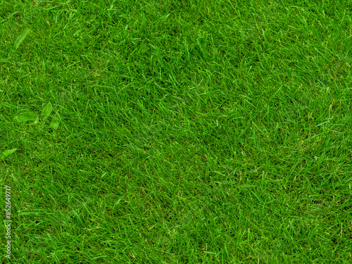 Wallpaper Mural albania, announcement message, artificial, austria, background, backgrounds, banner - sign, belgium, championship, competition, copy space, croatia, cup, denmark, design, england, euro 2024, field, fl Torontodigital.ca