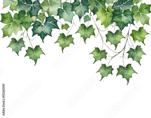 bay leaves, liście, grafika, wektor, vector, flowers, kwiaty, kompozycje kwiatowe, kompozycje z liści, flower compositions, leaf compositions