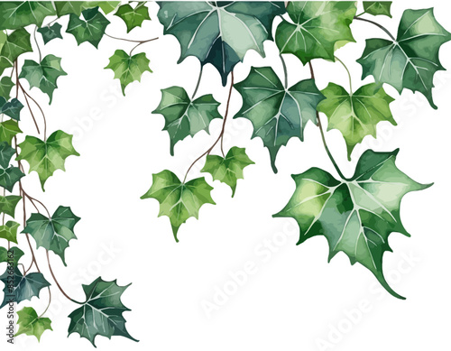 bay leaves, liście, grafika, wektor, vector, flowers, kwiaty, kompozycje kwiatowe, kompozycje z liści, flower compositions, leaf compositions