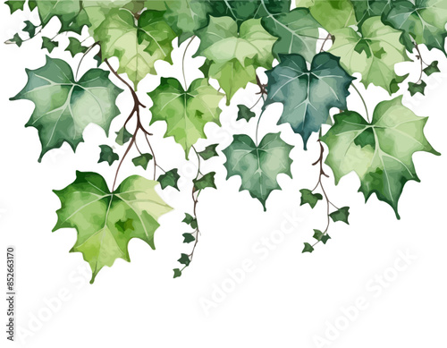 bay leaves, liście, grafika, wektor, vector, flowers, kwiaty, kompozycje kwiatowe, kompozycje z liści, flower compositions, leaf compositions