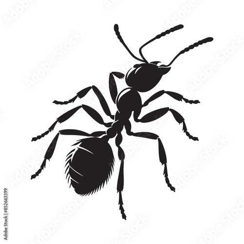 vector silhouette black ant on a white background