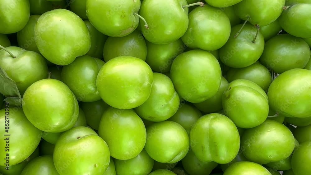 freshly picked green plums at the farmers market. organic food concept. freshly picked green plums at the farmers market. organic food concept.