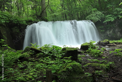 奥入瀬渓流（青森県）