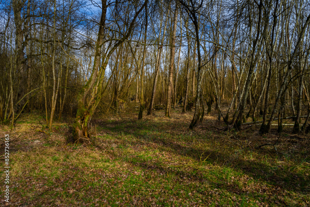 Hiking_Danube mouth of the Isar in Spring. Bavaria, Germany, Hiking_Danube mouth of the Isar in Spring. Bavaria, Germany,