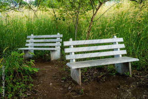 Fototapeta Naklejka Na Ścianę i Meble -  bench in the park