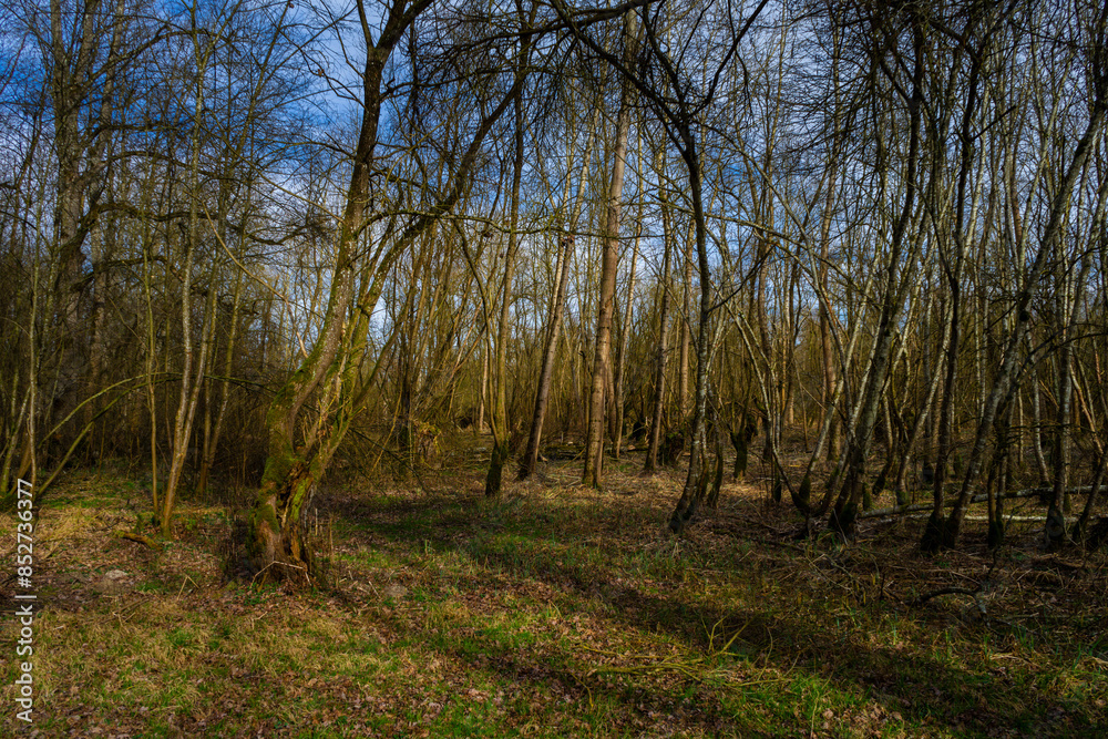 Hiking_Danube mouth of the Isar in Spring. Bavaria, Germany, Hiking_Danube mouth of the Isar in Spring. Bavaria, Germany,
