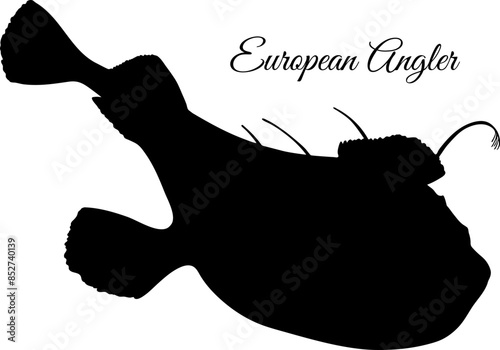 Common monkfish silhouette