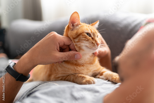 young man lying on a sofa interacts with a brown domestic cat