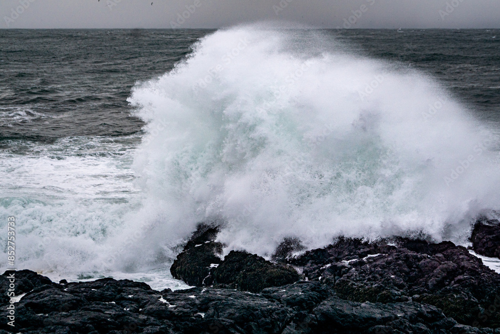Cliffs in Valahnúkamöl in Iceland in winter time covered with snow, stormy sea, high waves and black rocks Cliffs in Valahnúkamöl in Iceland in winter time covered with snow, stormy sea, high waves and black rocks