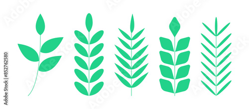 Set of leaf isolated on white background.