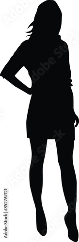 Official, Business or executive woman silhouette on different mood. 